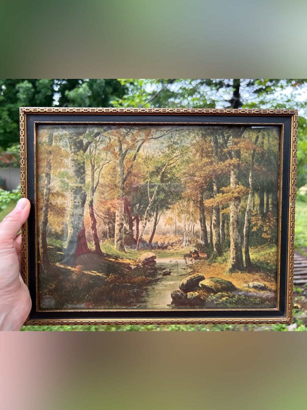 Vintage Art Framed Forest Stream Print Deer Gallery Wall Cottagecore 11x13